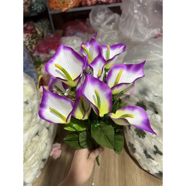 hoa môn - hoa rum trang trí hoa để bàn phòng họp - bàn giáo viên