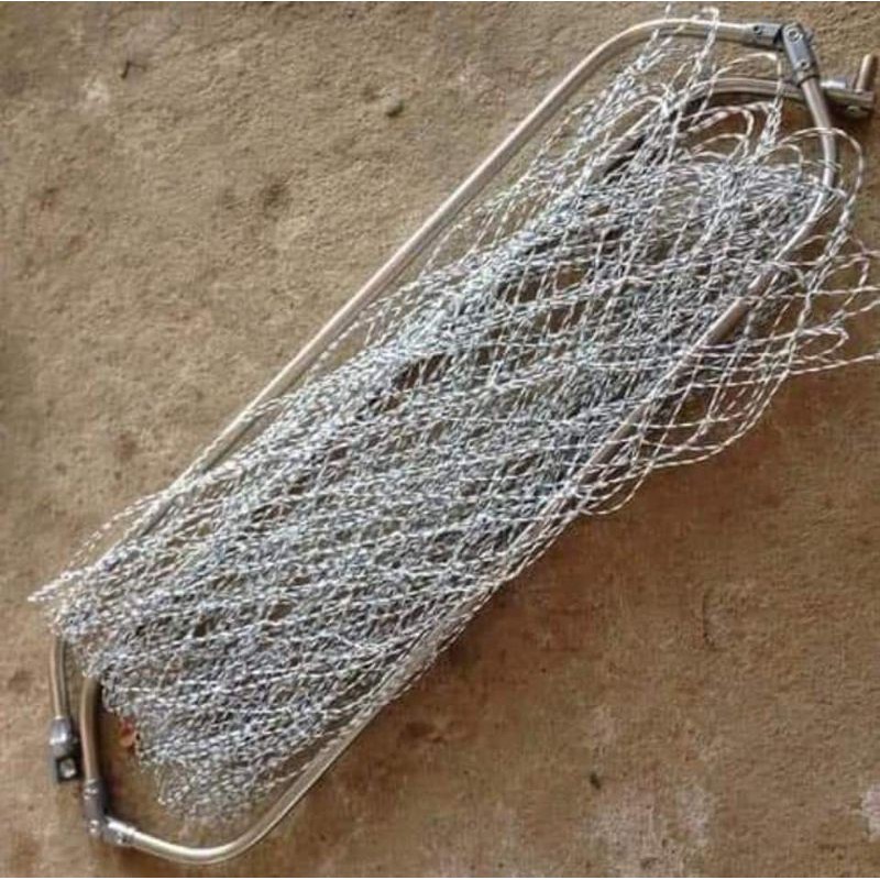Vợt bắt cá