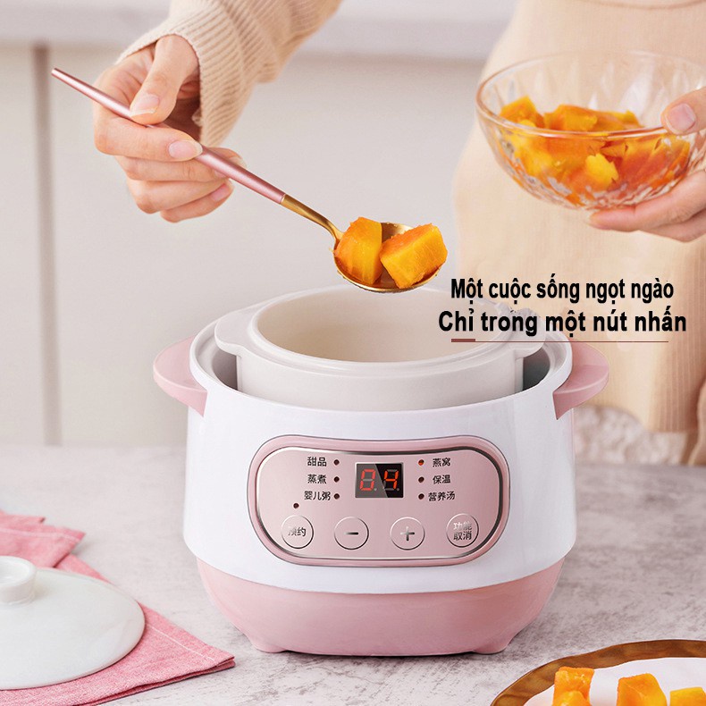 Nồi nấu cháo chậm chính hãng ToBé - Nồi hầm cách thủy dung tích 1l Nấu cháo Hầm canh Chung yến cho bé-BaByC