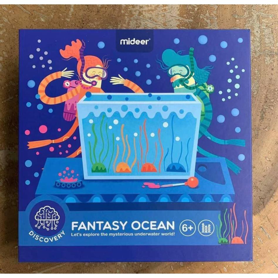 Bộ Đồ Chơi Khoa Học Sự Phát Triển Của San Hô Fantasy Ocean Chính hãng Mideer cho bé 6+