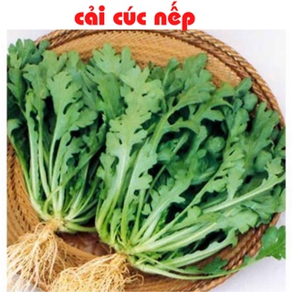 Hạt giống cải cúc 2500hạt ~20gram