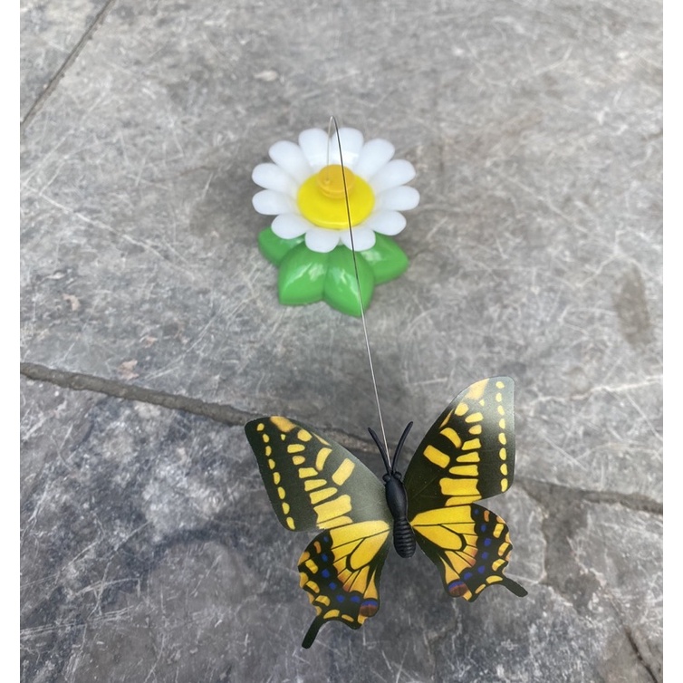 🦋🦋 Đồ Chơi Bắt Bướm Cho Mèo Cưng