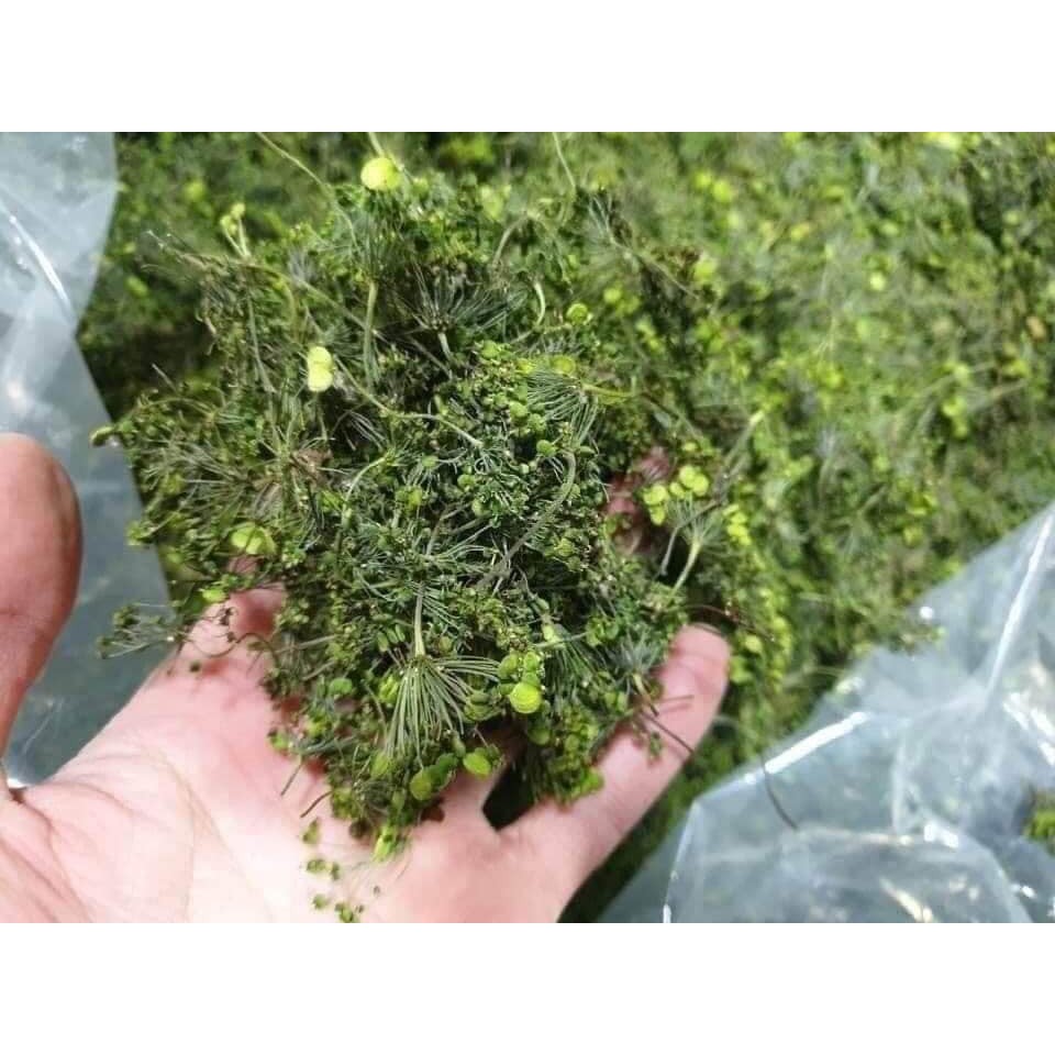 Trà hoa sâm khô Hàn Quốc | BigBuy360 - bigbuy360.vn