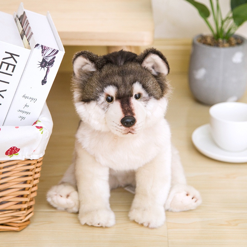 Chó Husky Nhồi Bông Mềm Mại Xinh Xắn