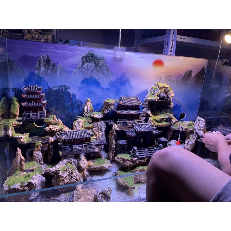 Combo bộ nhà trang trí tiểu cảnh Kelsey 2, trang trí bán cạn, non bộ, sân vườn