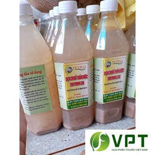 Dịch chuối Thần dược cho Phong lan