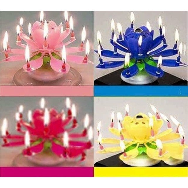 Nến sinh nhật nở hoa