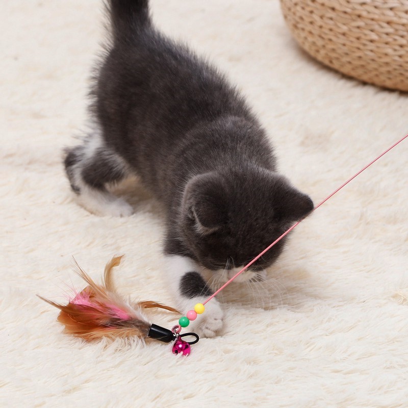 [Mã PET50K giảm Giảm 10% - Tối đa 50K đơn từ 250K] Đồ chơi cần câu cho mèo - mẫu ngẫu nhiên
