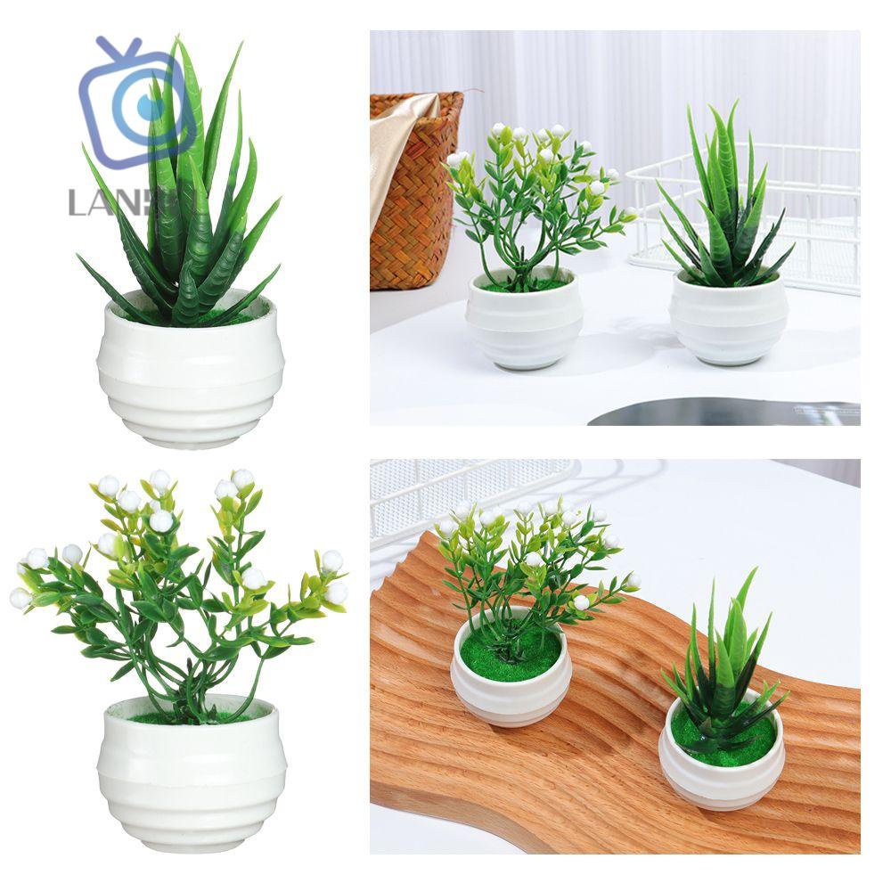 Chậu Cây Bonsai Nhân Tạo Mini Trang Trí Bàn Làm Việc/Văn Phòng/Nhà Cửa