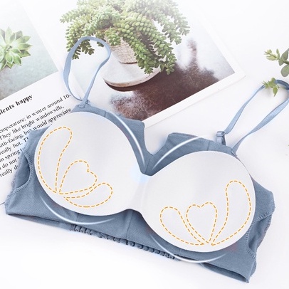 Áo Ngực 2 Dây Cotton DAN L&amp;U Mút Mỏng 2 quây 1805