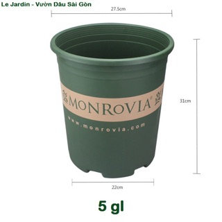 Chậu nhựa trồng cây MONROVIA. Cỡ số 5: đường kính 28cm x cao 31 cm. Dung tích 5 Gallon tương đương 19 lít.