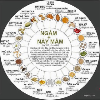 [HANDMADE] BỘT MẦM NGŨ CỐC - MẦM ĐẬU QUÊ