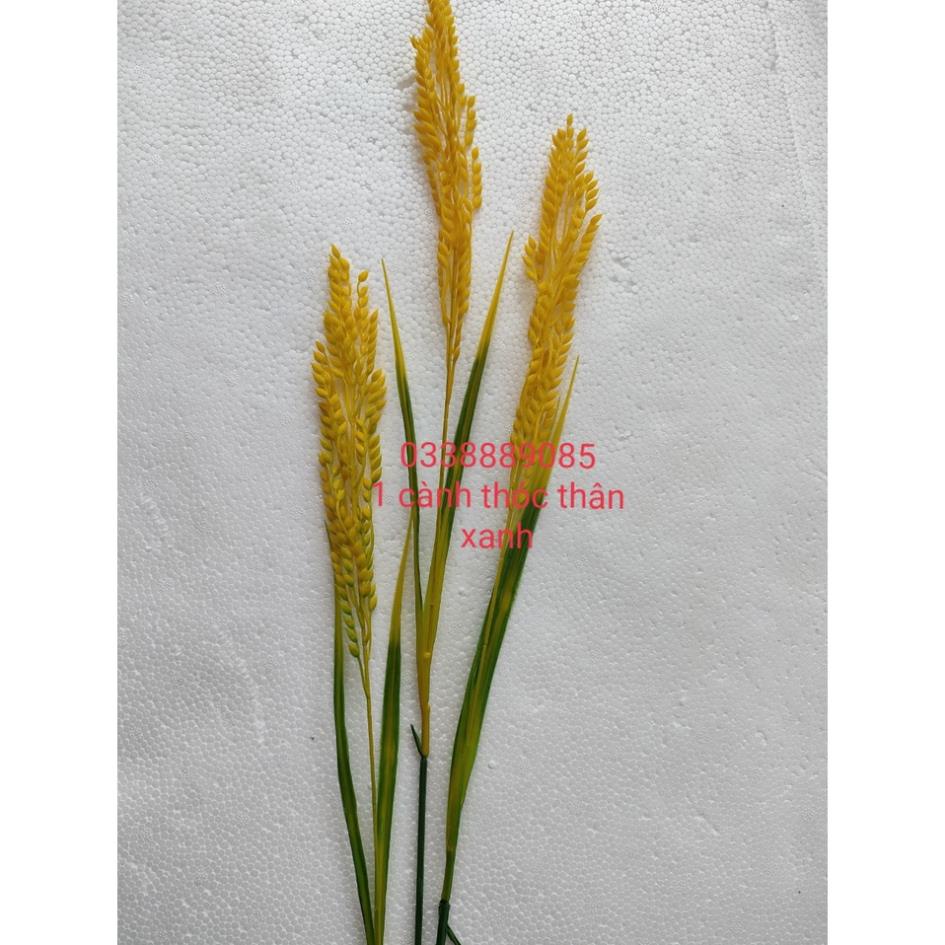 Cành lúa thóc 3 thân lớn trang trí decor