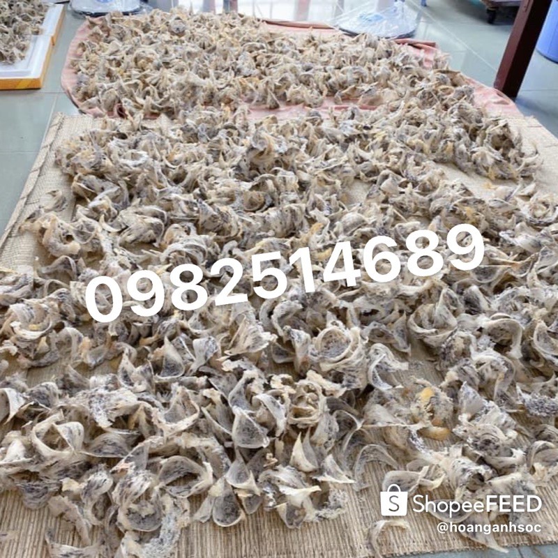 [Mã 267FMCGSALE giảm 8% đơn 500K] Combo 100g yến thô+ nhíp nhặt và thố chưng - tổ yến bể gãy nguyên chất | BigBuy360 - bigbuy360.vn