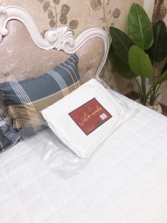 Ruột Chăn Hè Thương Hiệu AMada Lông Vũ
