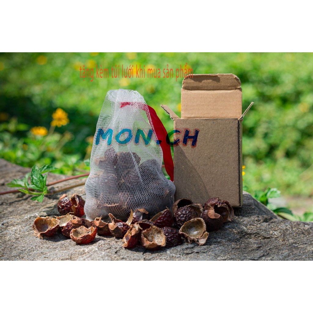 Bồ Hòn Trường Sơn Xanh