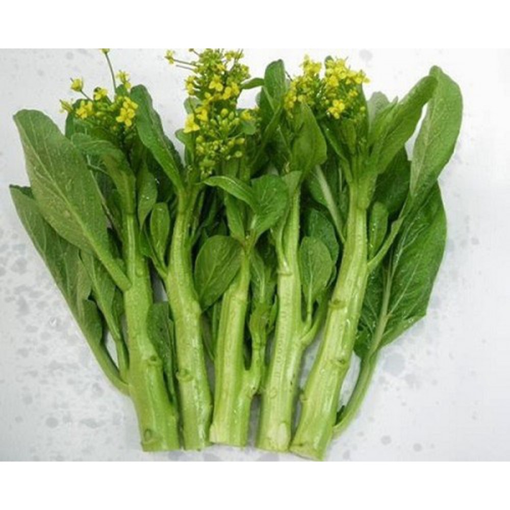 Gói 100g hạt giống cải ngồng Nanuseeds