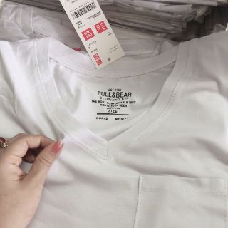 Áo pull bear