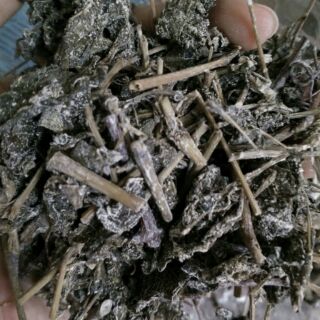 Chè dây sa pa 1kg
