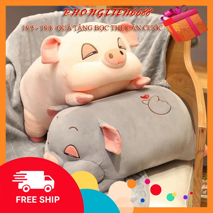 Bộ Chăn gối 2 in 1 Hình Heo Xinh Xắn