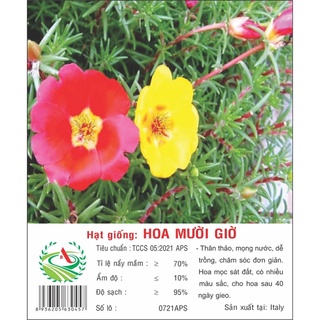 Hạt giống Hoa Mười Giờ