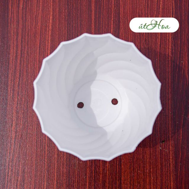 Chậu để bàn hình xoắn ốc