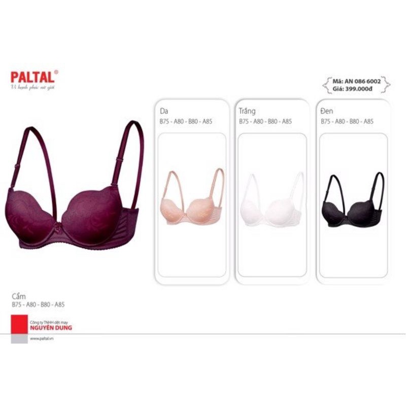 Áo ngực cao cấp Paltal 6002 (mút vừa)