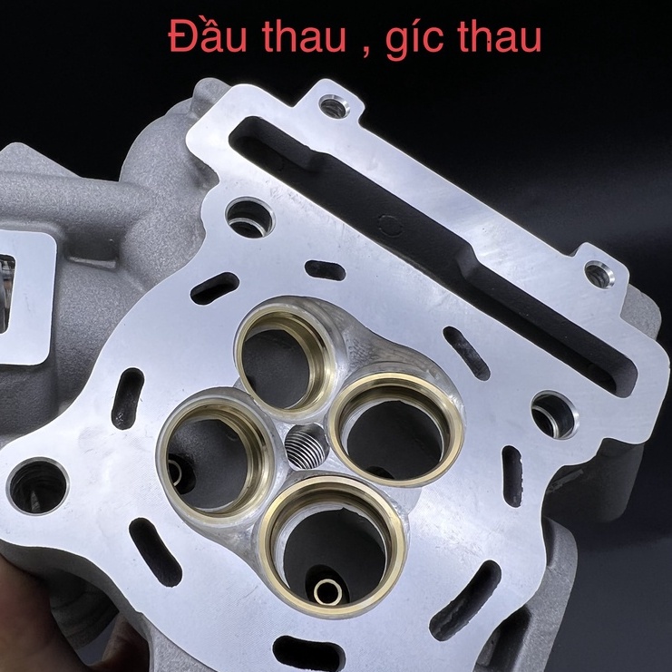Đầu redleo Exciter