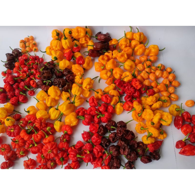 sốt ớt cay top thế giới