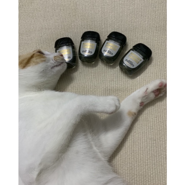 Gel/ nước rửa tay khô Bath and Body Works (nhiều mùi) | BigBuy360 - bigbuy360.vn