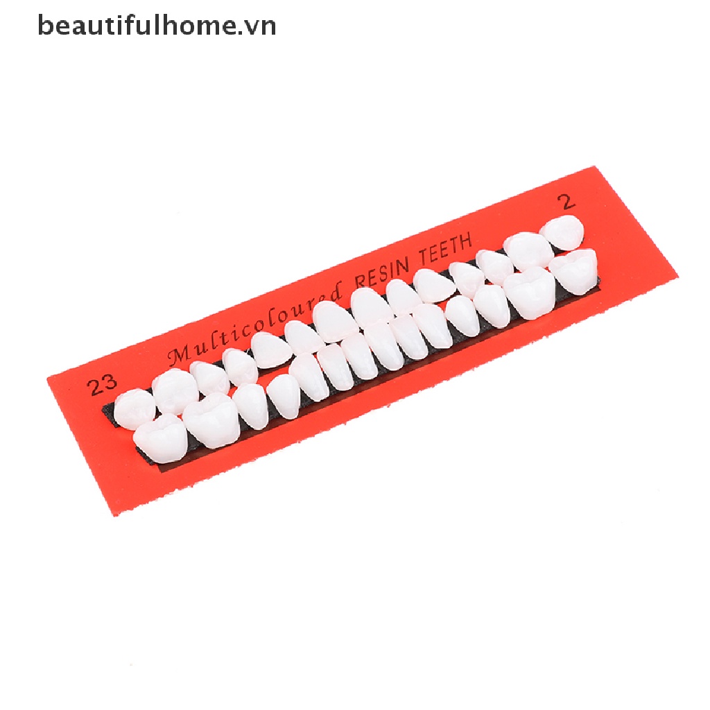 Bộ 28 Mô Hình Răng Giả Bằng Nhựa Hỗ Trợ