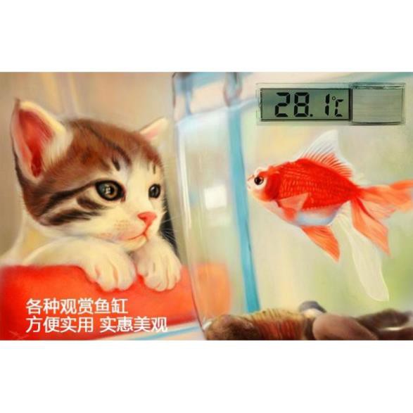 Nhiệt kế điện tử đo nhiệt độ bể cá có màn hình LCD