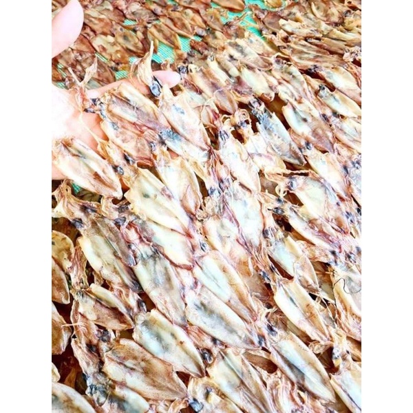 Mực khô nguyên con 500gr/95con