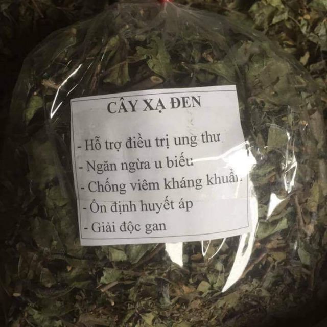 Lá xạ đen( trị ung thư)