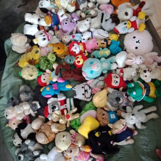 Gau bong cua Nguyễn văn tu
