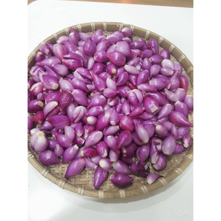 Hành Tím Lý Sơn size trung 1kg chắc củ