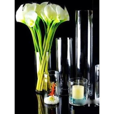 Bình Bông Lọ Hoa Thủy Tinh D10XH50Cm - Bình cắm bông lau khô