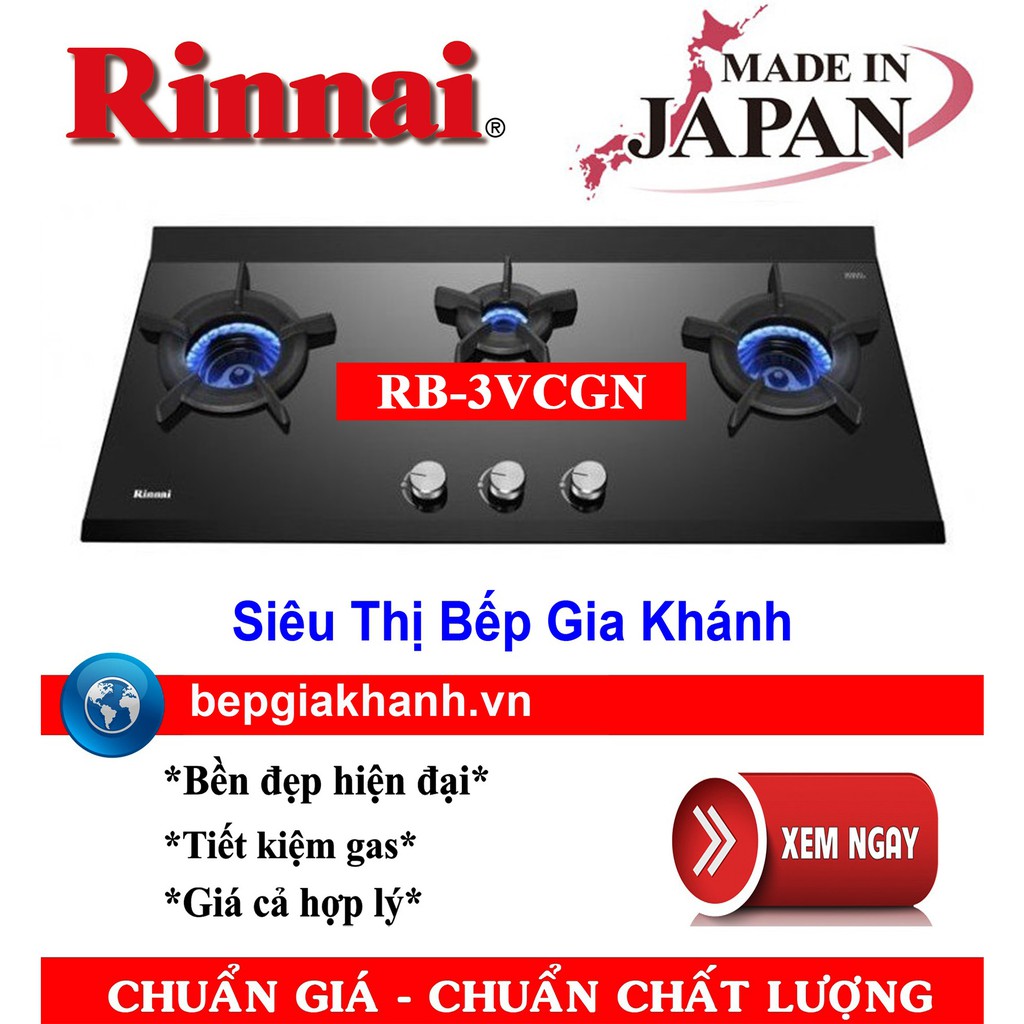 Bếp gas âm Rinnai RB-3VCGN nhập khẩu Nhật Bản