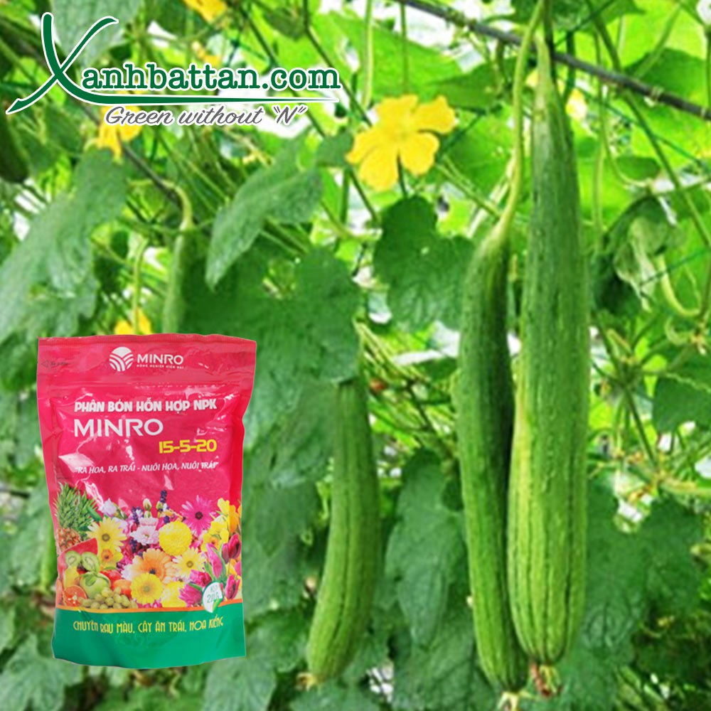 Phân bón NPK Kích thích ra hoa và đậu quả MINRO 15-5-20 200 gram