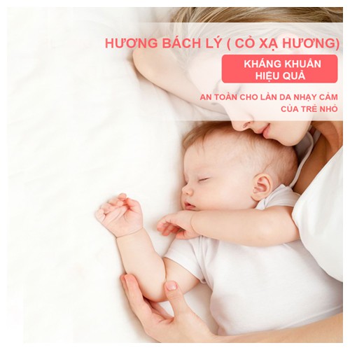 Nước giặt kháng khuẩn hương bách lý MaoBao 500g.