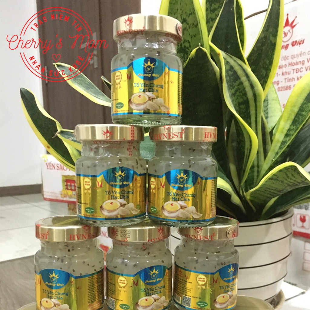Tổ Yến Sào Chưng Hạt Chia Hoàng Việt (01 Hũ) Chưng Sẵn 70ml Chính Hãng Nha Trang Khánh Hòa Cho Bé, Bà Bầu | BigBuy360 - bigbuy360.vn