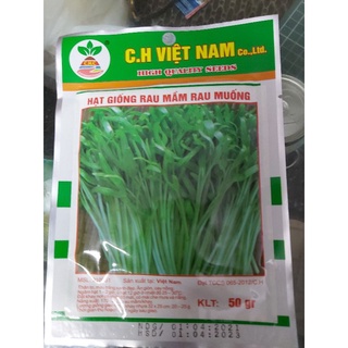 hạt giống rau mầm rau muống