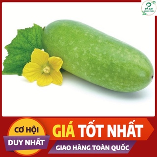 🥒HẠT GIỐNG BÍ ĐAO CHANH_15 HẠT🥒