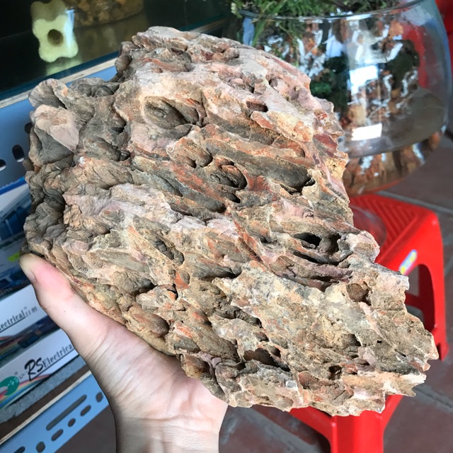 Đá Tiger 1 Kg - Đá Trang Trí Bể Thủy Sinh, Bán Cạn