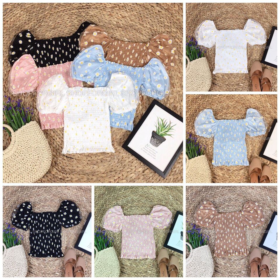 Áo tay phồng hoa cúc màu trắng tay ngắn - shop8868