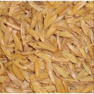 Vỏ chấu lót chuồng,trồng cây 1kg