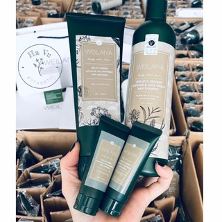 [Hạ Vũ Authentic + Quà tặng] Bộ Đôi Dầu Gội Xả Gừng Hà Thủ Ô Weilaiya Chính Hãng ( tặng kèm mini test )