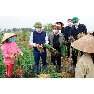 ⚡️[Flash Sale] Hành khô Kinh Môn Hải Dương (Đặc sản hàng ta khô Kinh môn)