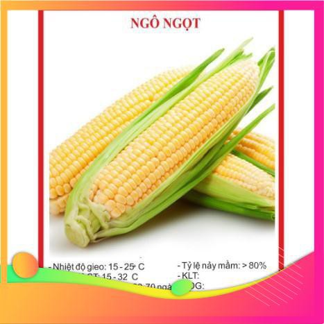 [TOP] Hạt Giống Ngô Ngọt F1 - 20 Hạt [ Tặng Kèm 1 Viên Nén Xơ Dừa ] VIETGAR