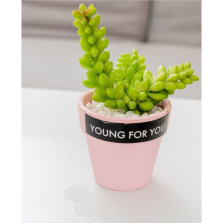 Set 10 miếng keo 2 mặt hình tròn siêu dính bằng acrylic trong suốt tiện lợi